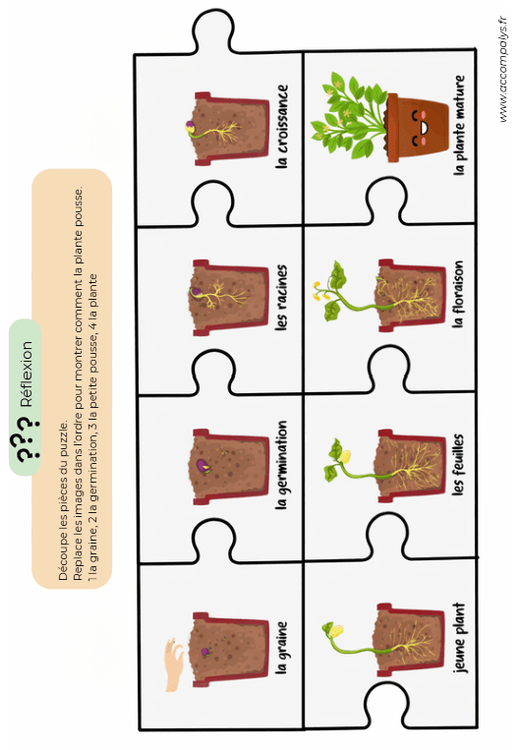 La magie des plantations 3 - 4 ans  - miniature 3