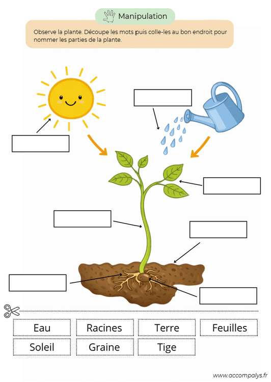 La magie des plantations 5 - 6 ans - miniature 3
