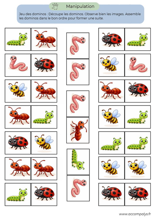 Le petit monde des insecte 3 - 4 ans  - miniature 2