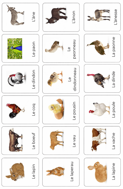 Rencontre avec les animaux de la ferme 2 - 3 ans - miniature 2