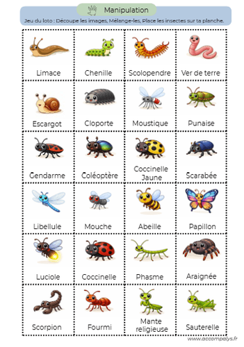 Le petit monde des insectes 2 - 3 ans  - miniature 2