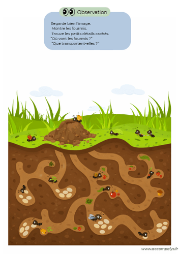 Le petit monde des insectes 2 - 3 ans  - miniature 3